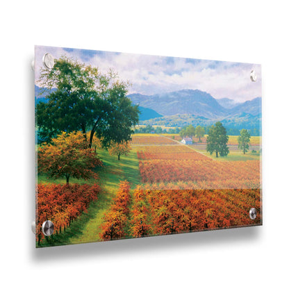 A painting of Napa Valley, California vineyards. The vibrant orange crops against the lush green grass create a picturesque landscape. Printed on acrylic.