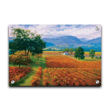 A painting of Napa Valley, California vineyards. The vibrant orange crops against the lush green grass create a picturesque landscape. Printed on acrylic.