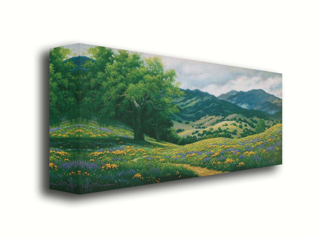 A landscape painting of Carmel Valley in California. Floral, grassy hills lead up to mountain forests. Printed on canvas.