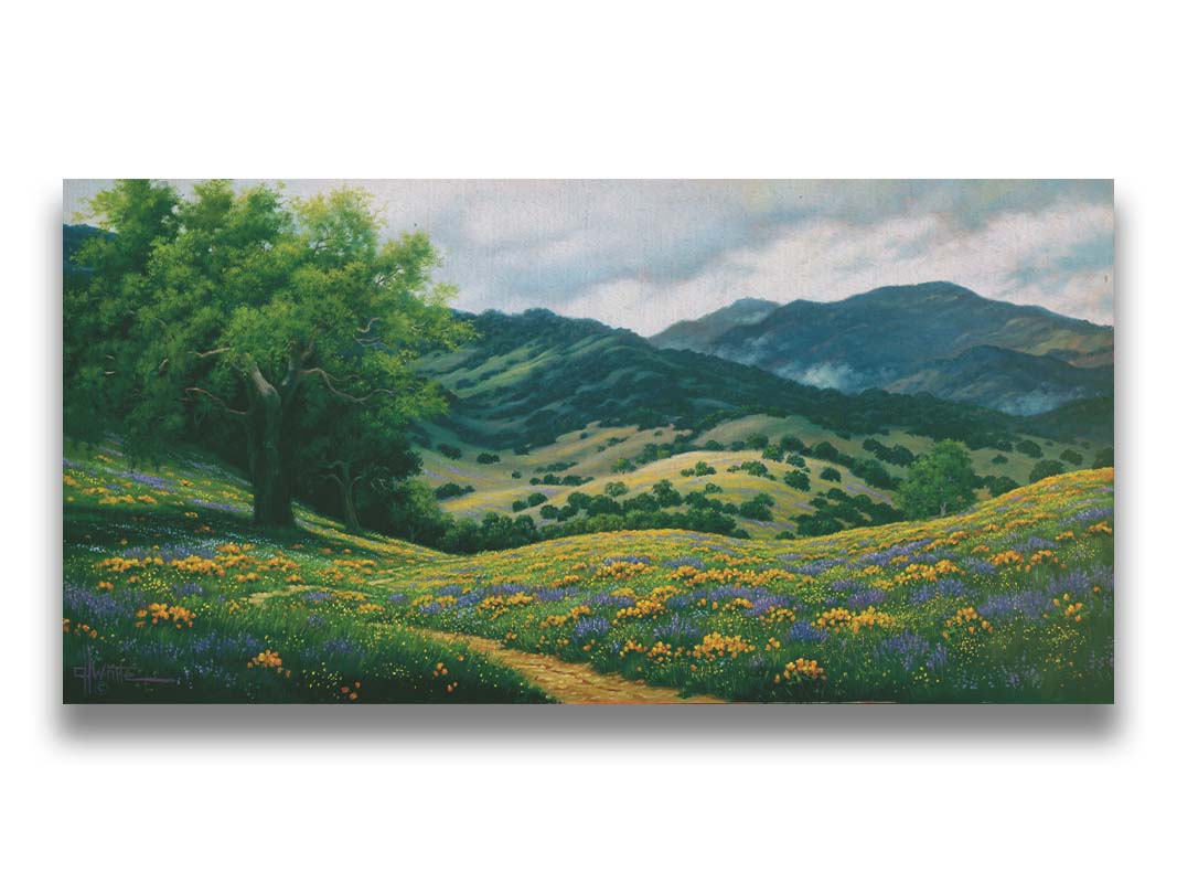 A landscape painting of Carmel Valley in California. Floral, grassy hills lead up to mountain forests. Printed on canvas.