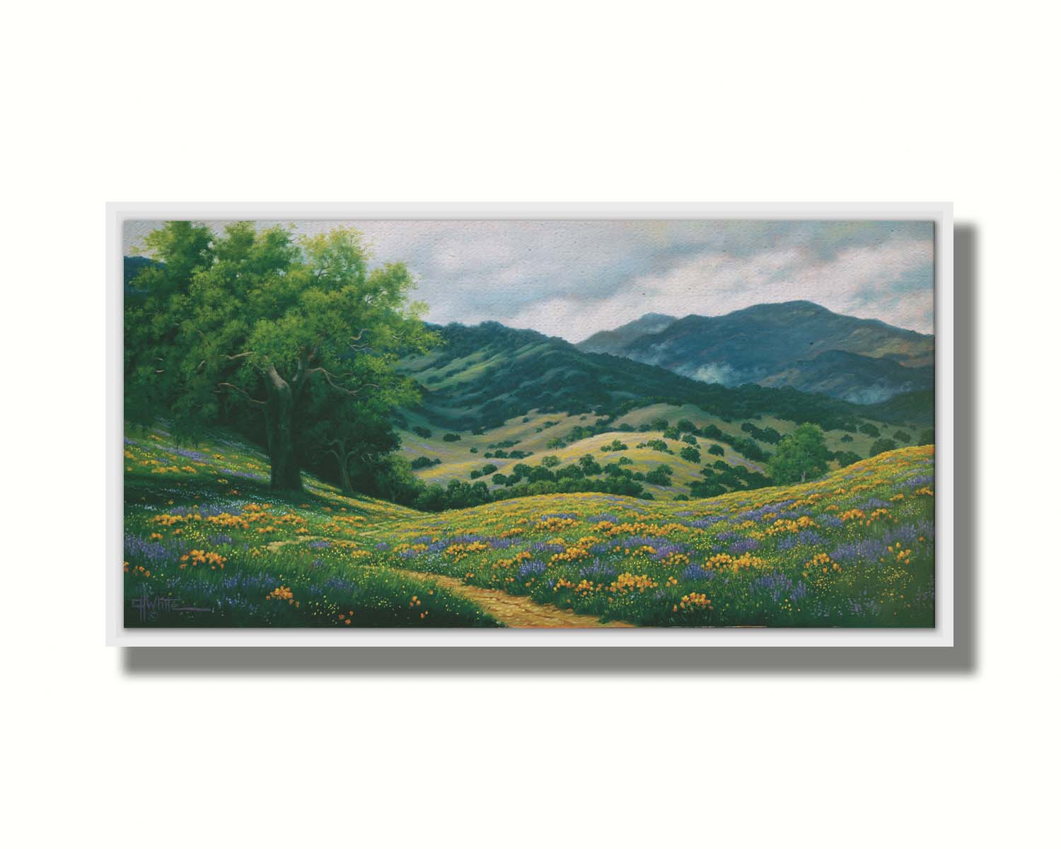 A landscape painting of Carmel Valley in California. Floral, grassy hills lead up to mountain forests. Printed on canvas in a float fame.