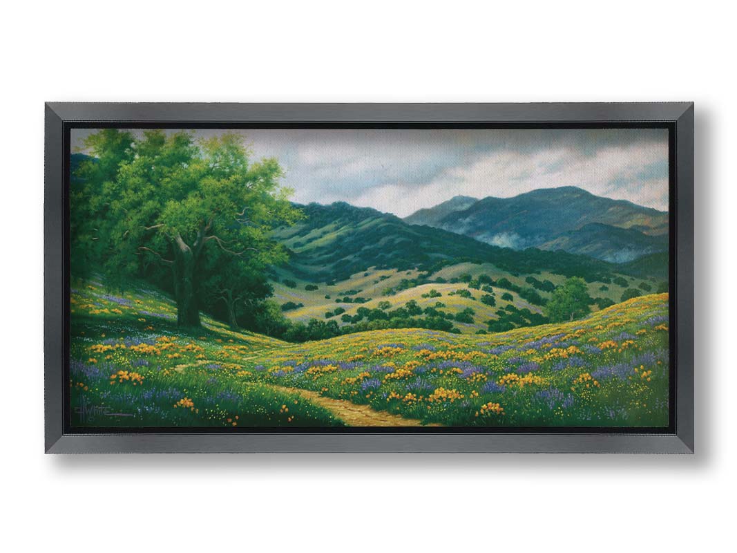 A landscape painting of Carmel Valley in California. Floral, grassy hills lead up to mountain forests. Printed on canvas and framed.