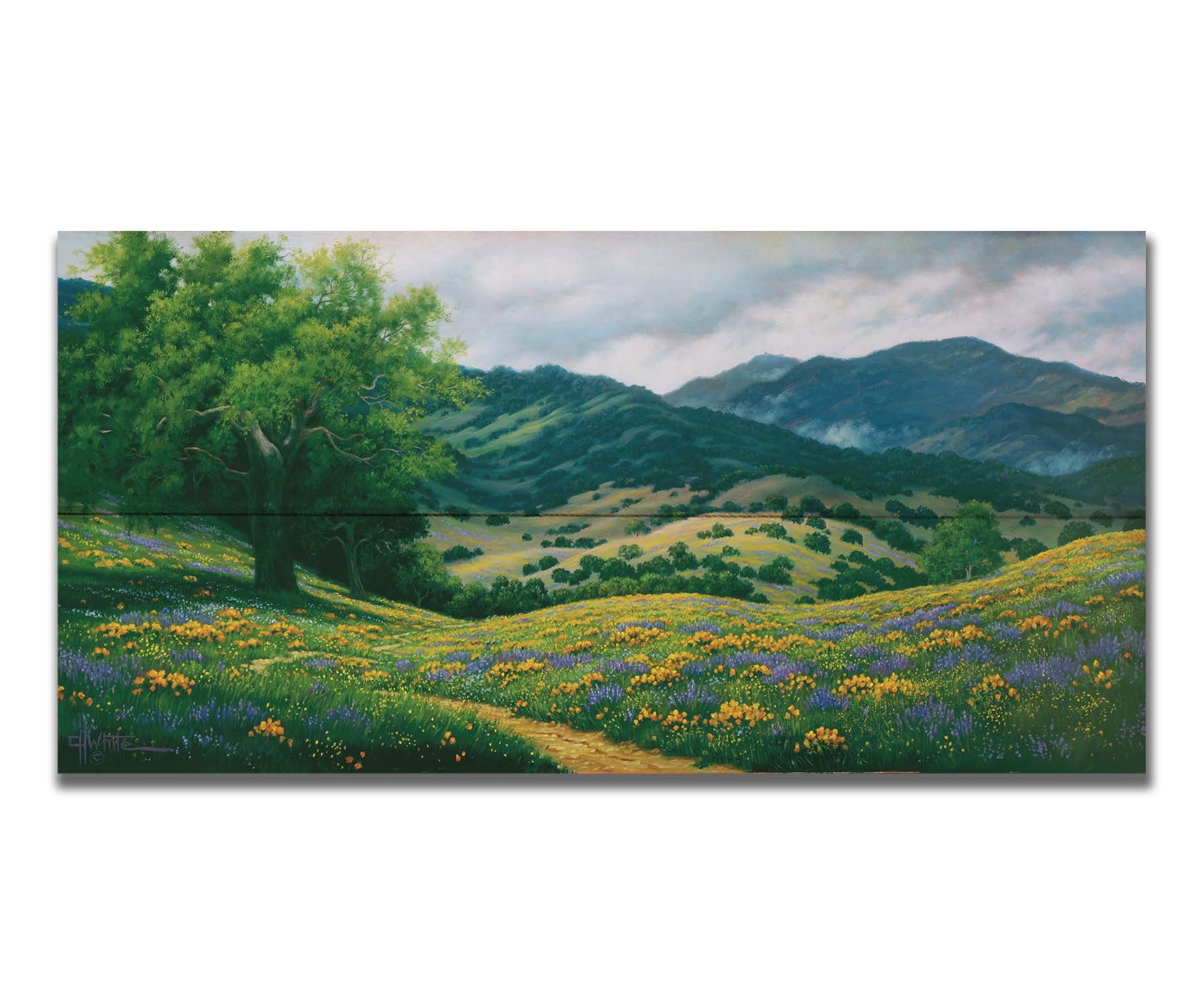 A landscape painting of Carmel Valley in California. Floral, grassy hills lead up to mountain forests. Printed on a box board.