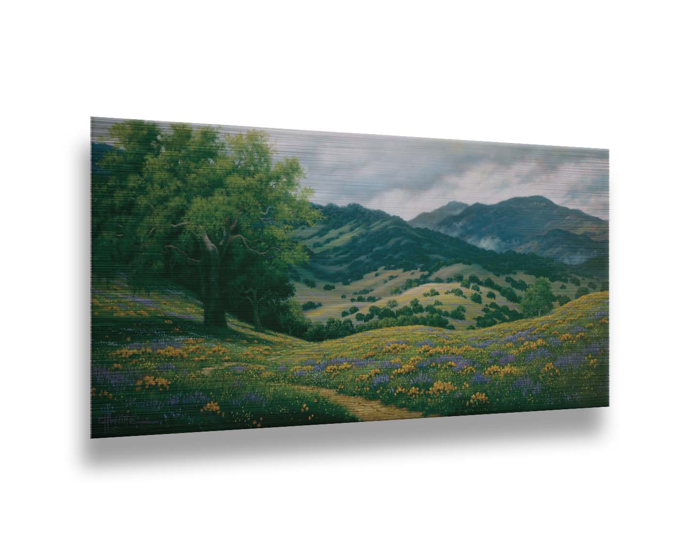 A landscape painting of Carmel Valley in California. Floral, grassy hills lead up to mountain forests. Printed on metal.