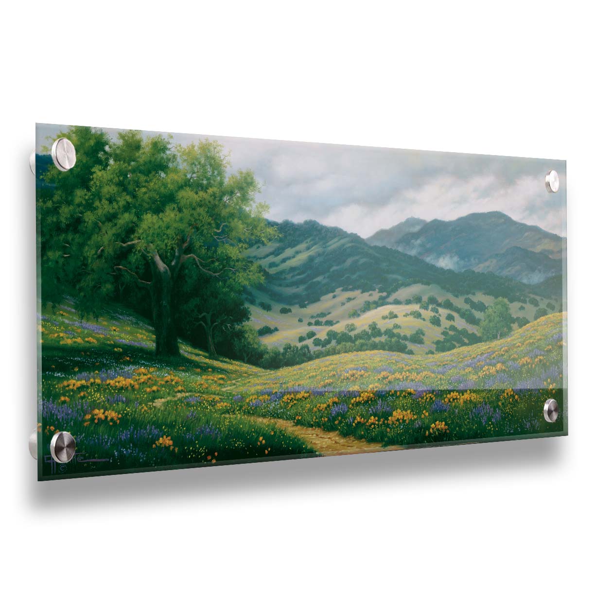 A landscape painting of Carmel Valley in California. Floral, grassy hills lead up to mountain forests. Printed on acrylic.