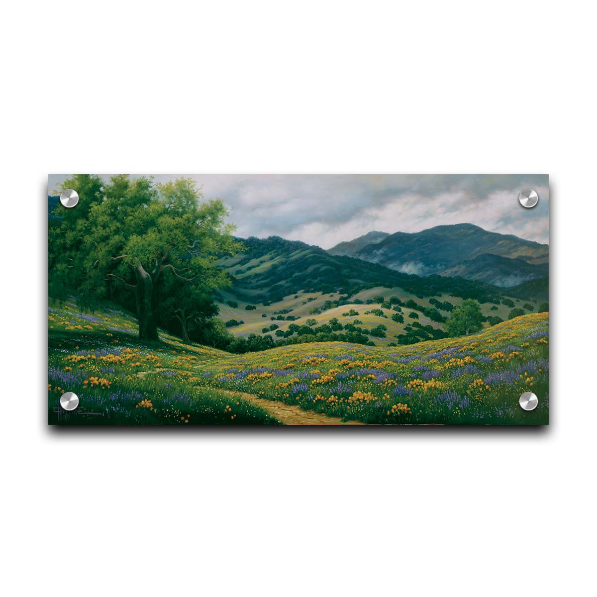 A landscape painting of Carmel Valley in California. Floral, grassy hills lead up to mountain forests. Printed on acrylic.