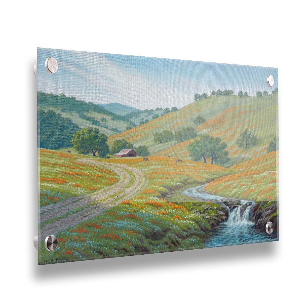 A painting of Round Valley at Mount Diablo in California. The wooded hills it is known for can be seen sprawling into the distance, with meadows of orange and white flowers. A small creek carves through the scene in parallel to a dirt path, leading up to a barn and cows. Printed on acrylic.