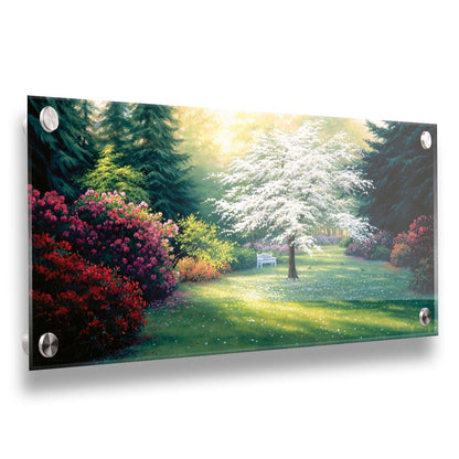 A painting of a park during a spring morning. Bushes and trees are blossoming with colorful flowers, and dark deep evergreens which contrast the warm morning light. Printed on acrylic.