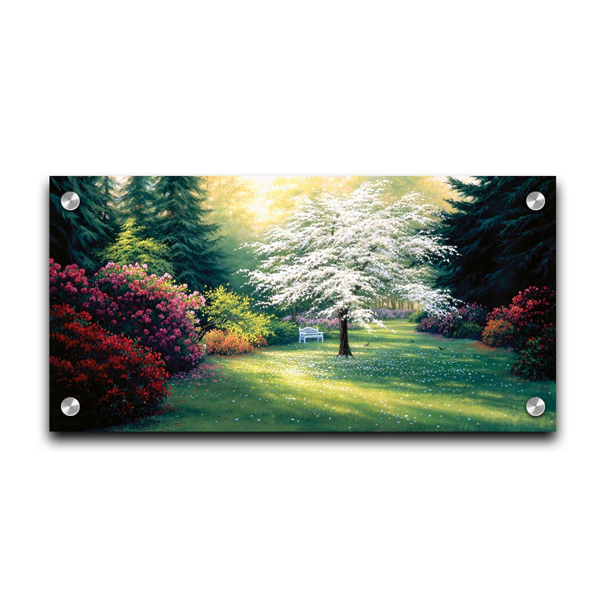 A painting of a park during a spring morning. Bushes and trees are blossoming with colorful flowers, and dark deep evergreens which contrast the warm morning light. Printed on acrylic.