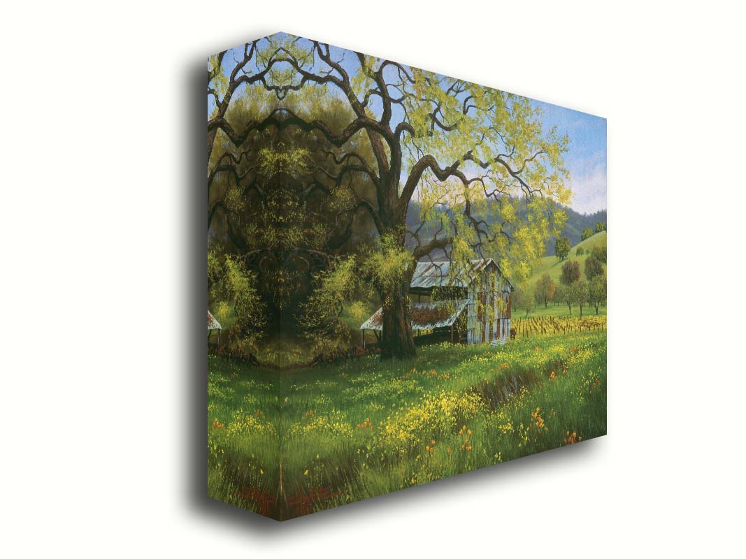 A painting of a green spring scene of an old barn nestled between a vineyard and a flowery meadow, with forested hills in the distance. Printed on canvas.