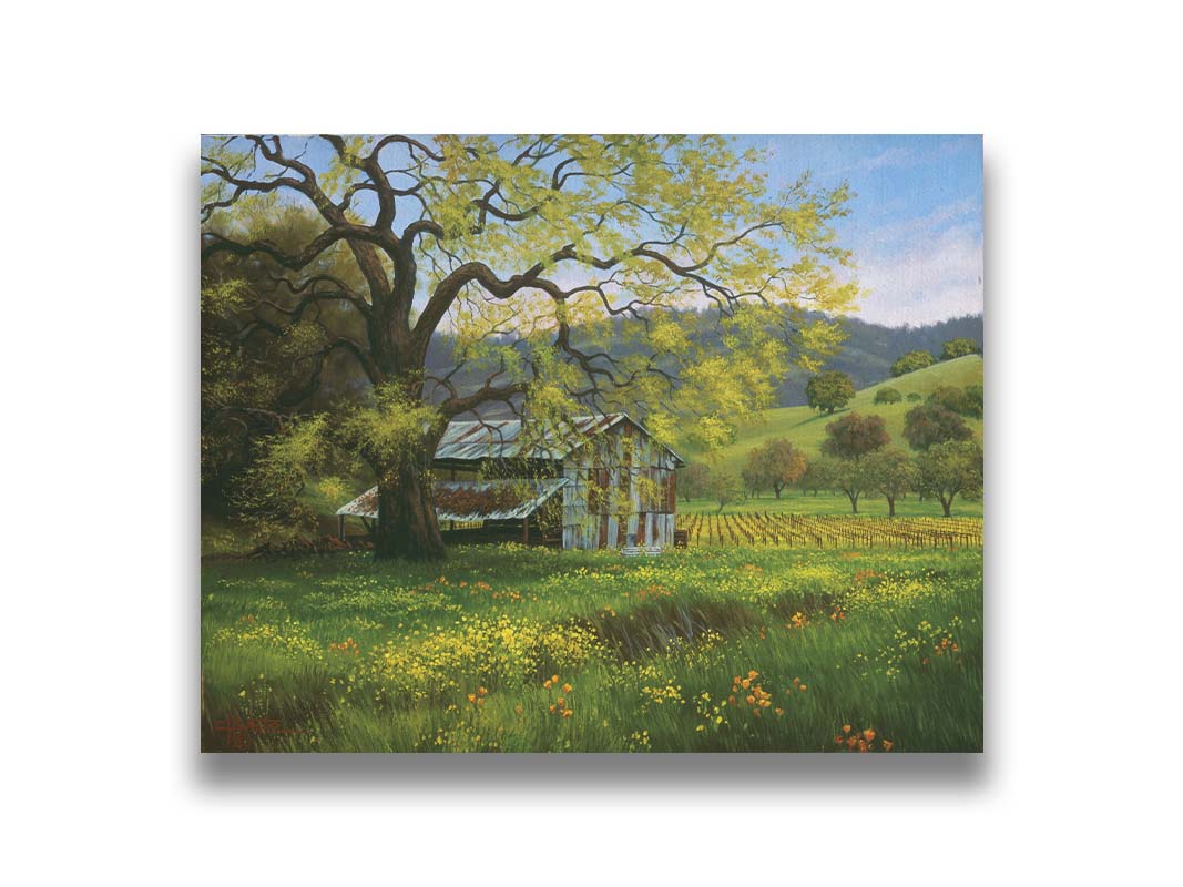 A painting of a green spring scene of an old barn nestled between a vineyard and a flowery meadow, with forested hills in the distance. Printed on canvas.