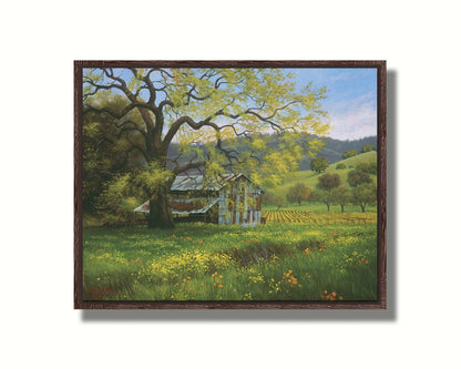 A painting of a green spring scene of an old barn nestled between a vineyard and a flowery meadow, with forested hills in the distance. Printed on canvas in a float frame.