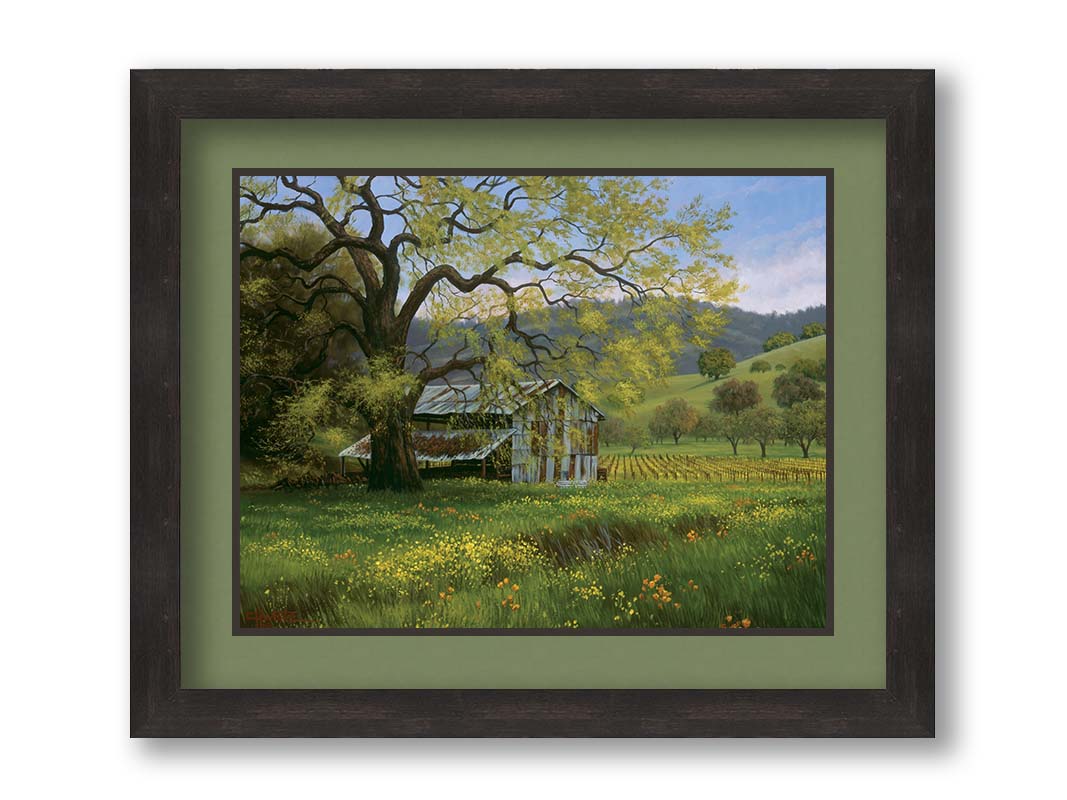 A painting of a green spring scene of an old barn nestled between a vineyard and a flowery meadow, with forested hills in the distance. Printed on paper, matted, and framed.