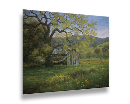 A painting of a green spring scene of an old barn nestled between a vineyard and a flowery meadow, with forested hills in the distance. Printed on metal.