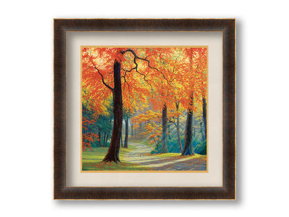 A painting of a gravel road through a fall forest. Sunbeams shine through evergreens and vibrant orange trees. Printed on paper, matted, and framed.