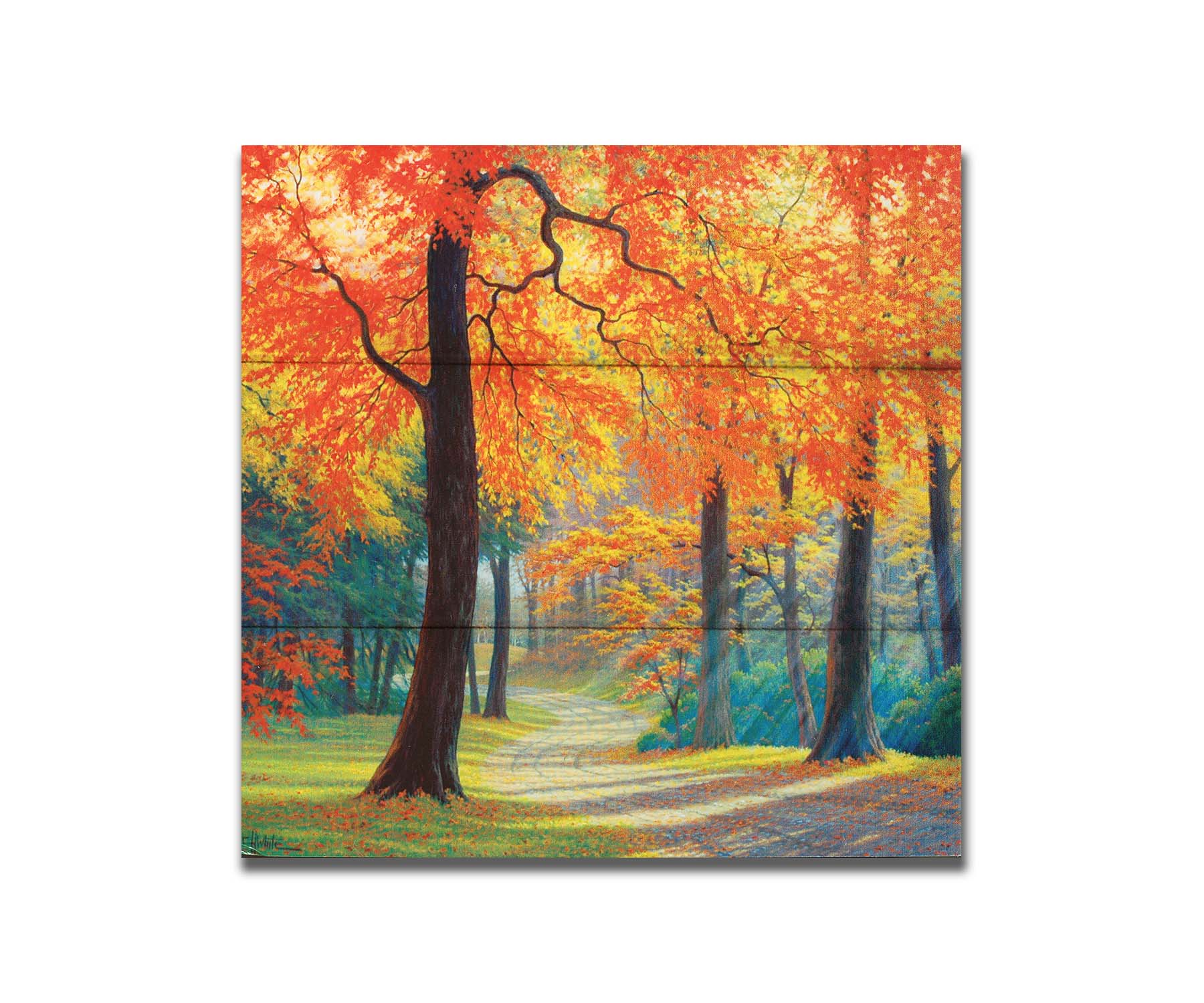 A painting of a gravel road through a fall forest. Sunbeams shine through evergreens and vibrant orange trees. Printed on a box board.