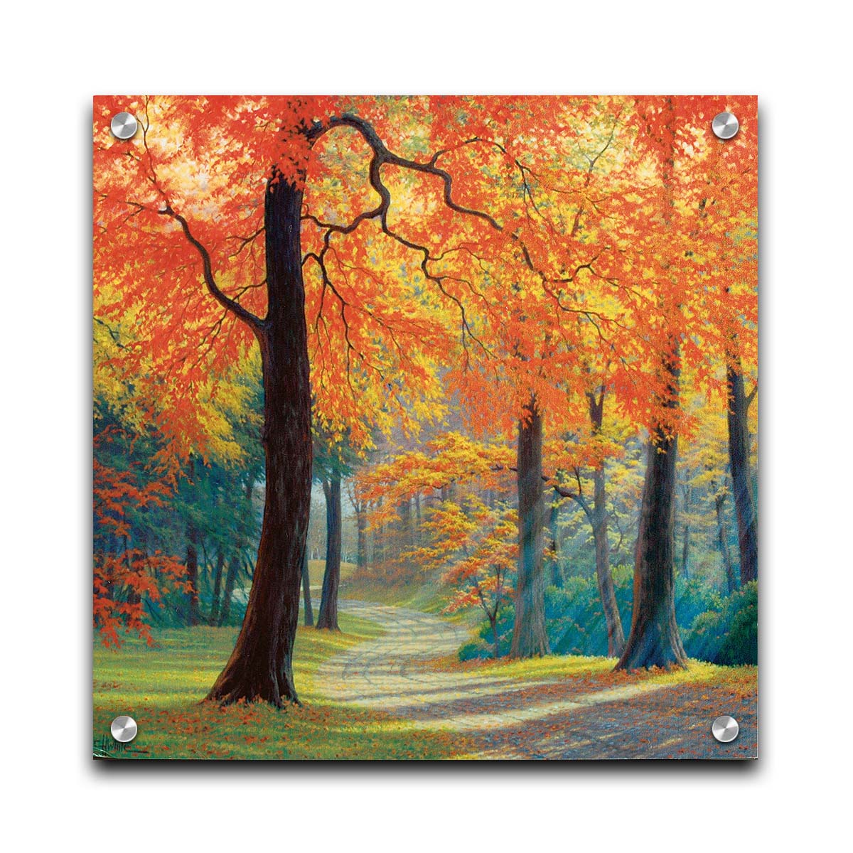 A painting of a gravel road through a fall forest. Sunbeams shine through evergreens and vibrant orange trees. Printed on acrylic.