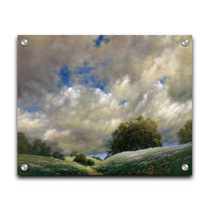 A painting of the sky over gentle hills covered in flowery meadows. Huge clouds fill the sky over the scene. Printed on acrylic.