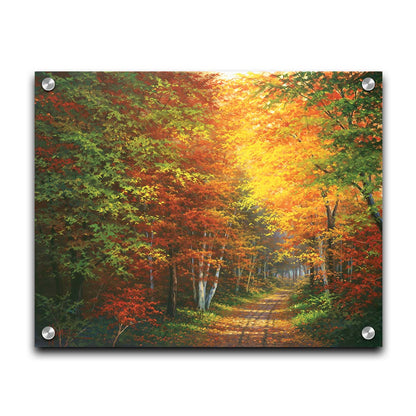 A painting of a leaf-strewn road through a forest, with light filtering through the branches to highlight the golden hues of fall. Printed on acrylic.