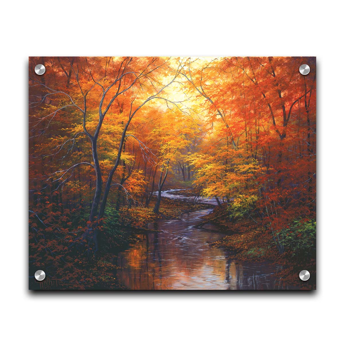 A painting of a stream through a forest in autumn. Warm hues dominate the scene, with red, orange, and yellow leaves and deep brown grasses and wood. Printed on acrylic.