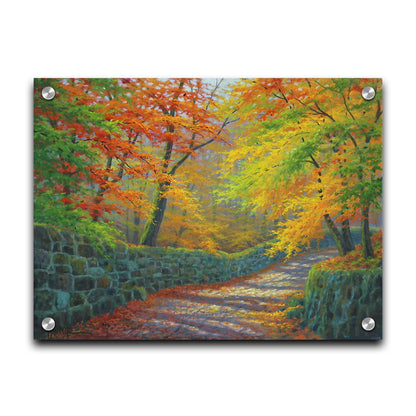 A painting of a stone road through a forest. It is bordered by stone walls on either side. The leaves of the trees are changing colors and dropping to the ground for fall. Printed on acrylic.