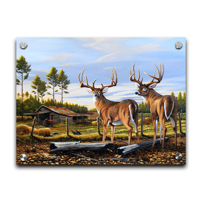 A painting of a farm landscape, featuring two deer in the foreground. Fields, buildings, hay bales, and farming equipment can be seen beyond the fence, and fallen leaves cover the ground. Printed on acrylic.