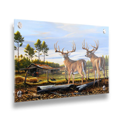 A painting of a farm landscape, featuring two deer in the foreground. Fields, buildings, hay bales, and farming equipment can be seen beyond the fence, and fallen leaves cover the ground. Printed on acrylic.