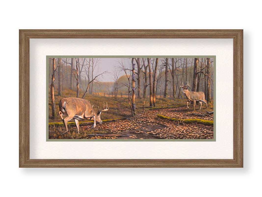 A painting of two deer approaching each other in the woods. The two bucks are about to fight, as is evident by their body language. Printed on paper, matted, and framed.