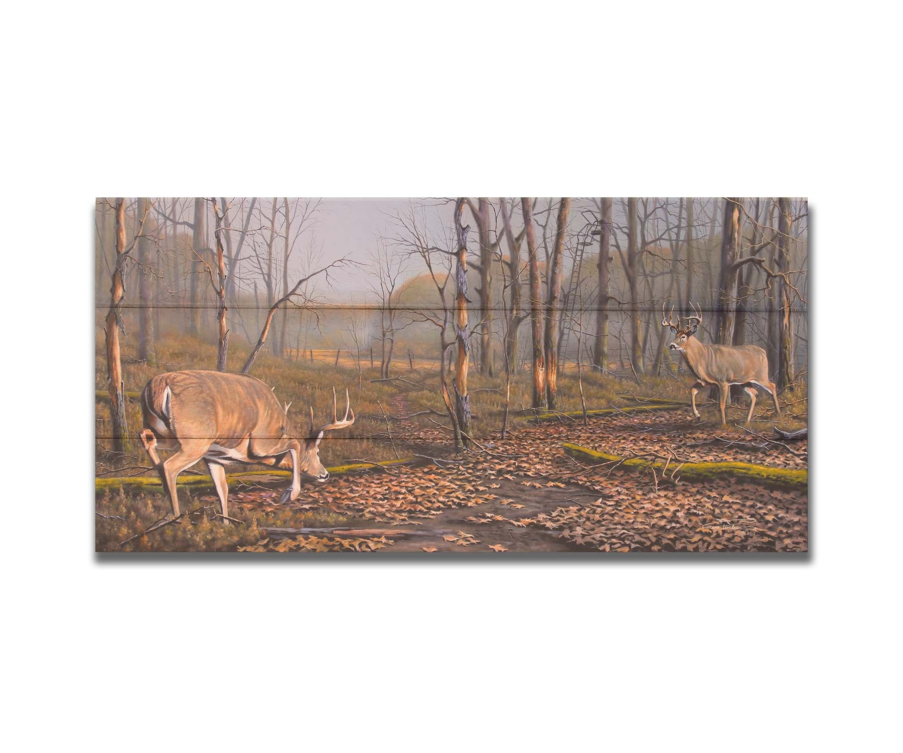 A painting of two deer approaching each other in the woods. The two bucks are about to fight, as is evident by their body language. Printed on a box board.