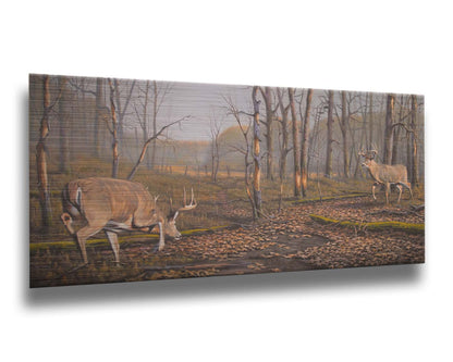 A painting of two deer approaching each other in the woods. The two bucks are about to fight, as is evident by their body language. Printed on metal.