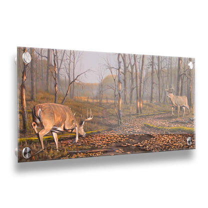 A painting of two deer approaching each other in the woods. The two bucks are about to fight, as is evident by their body language. Printed on acrylic.