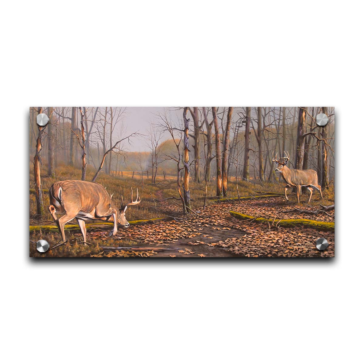 A painting of two deer approaching each other in the woods. The two bucks are about to fight, as is evident by their body language. Printed on acrylic.