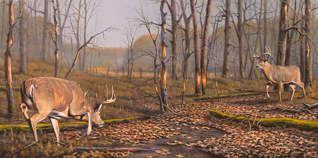 A painting of two deer approaching each other in the woods. The two bucks are about to fight, as is evident by their body language.