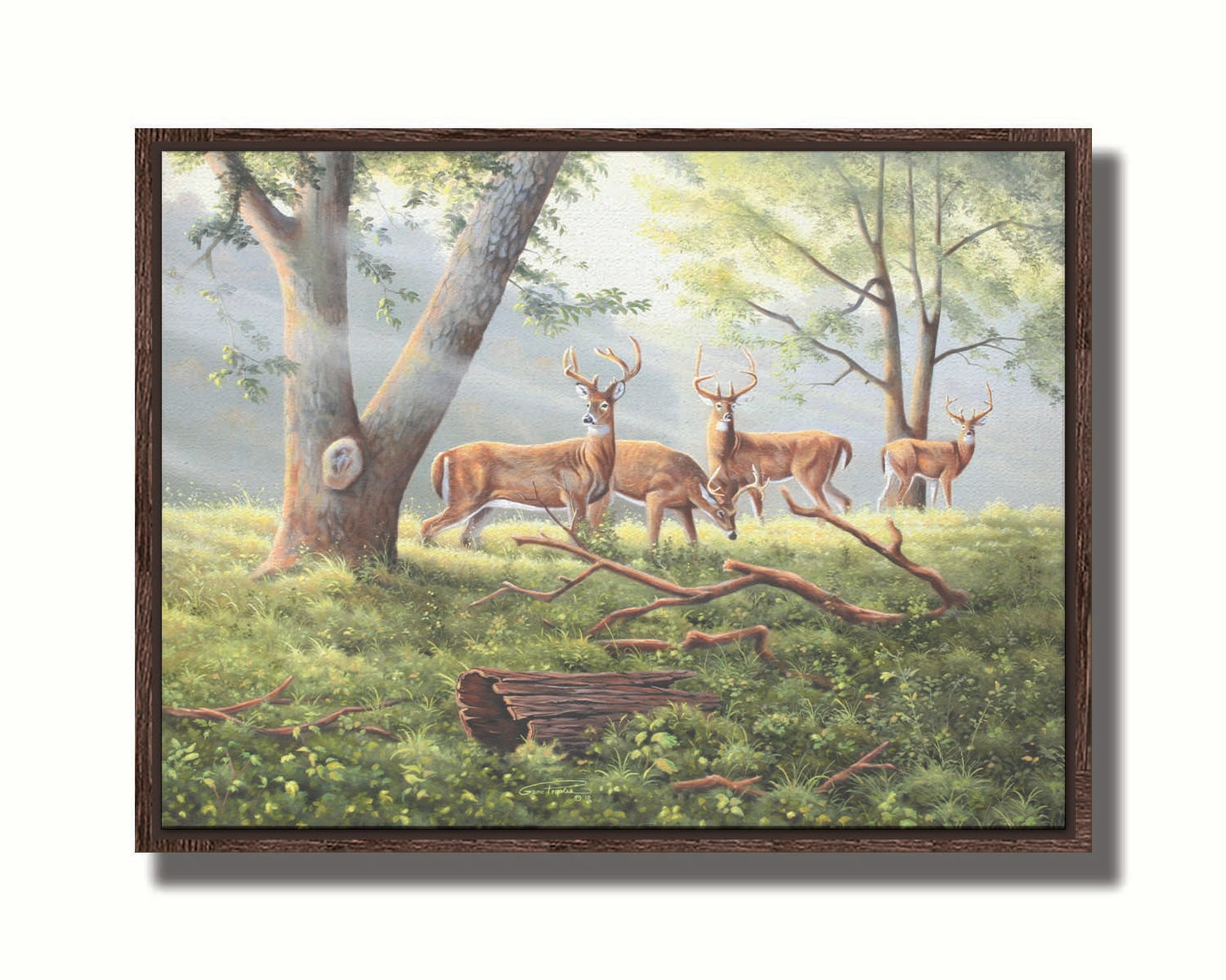 A painting of four deer in a grassy forest landscape, with beams of sunlight pouring down through the branches. Printed on canvas in a float frame.