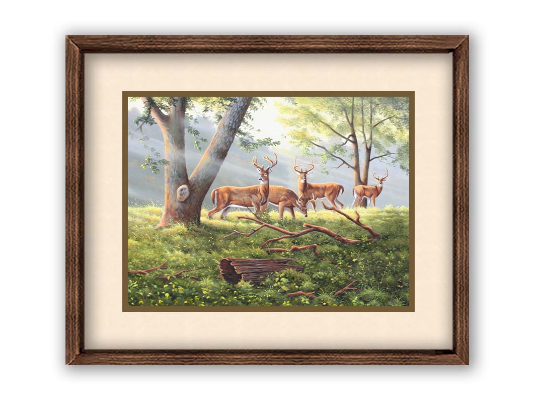 A painting of four deer in a grassy forest landscape, with beams of sunlight pouring down through the branches. Printed on paper, matted, and framed.