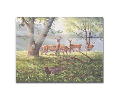 A painting of four deer in a grassy forest landscape, with beams of sunlight pouring down through the branches. Printed on a box board.