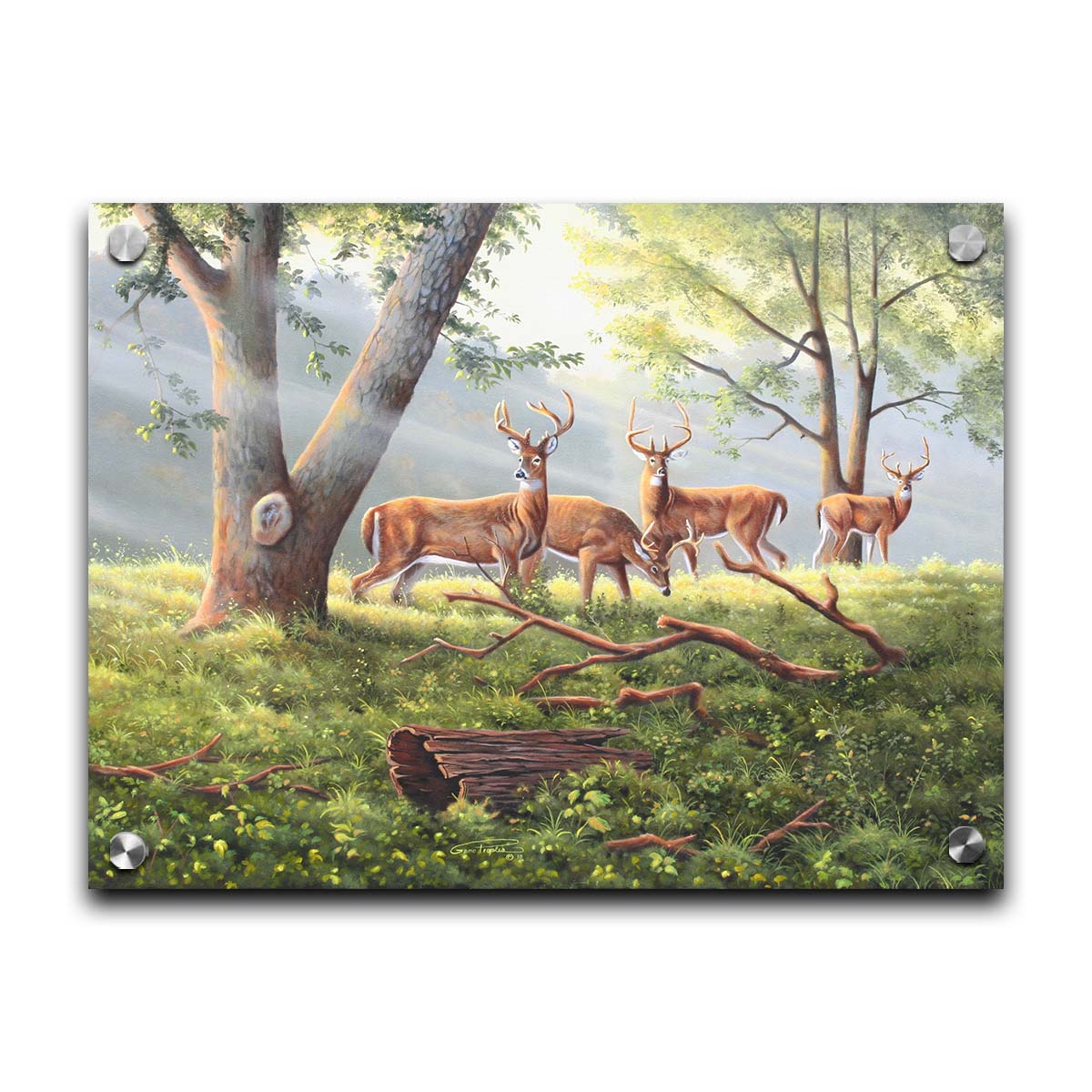 A painting of four deer in a grassy forest landscape, with beams of sunlight pouring down through the branches. Printed on acrylic.