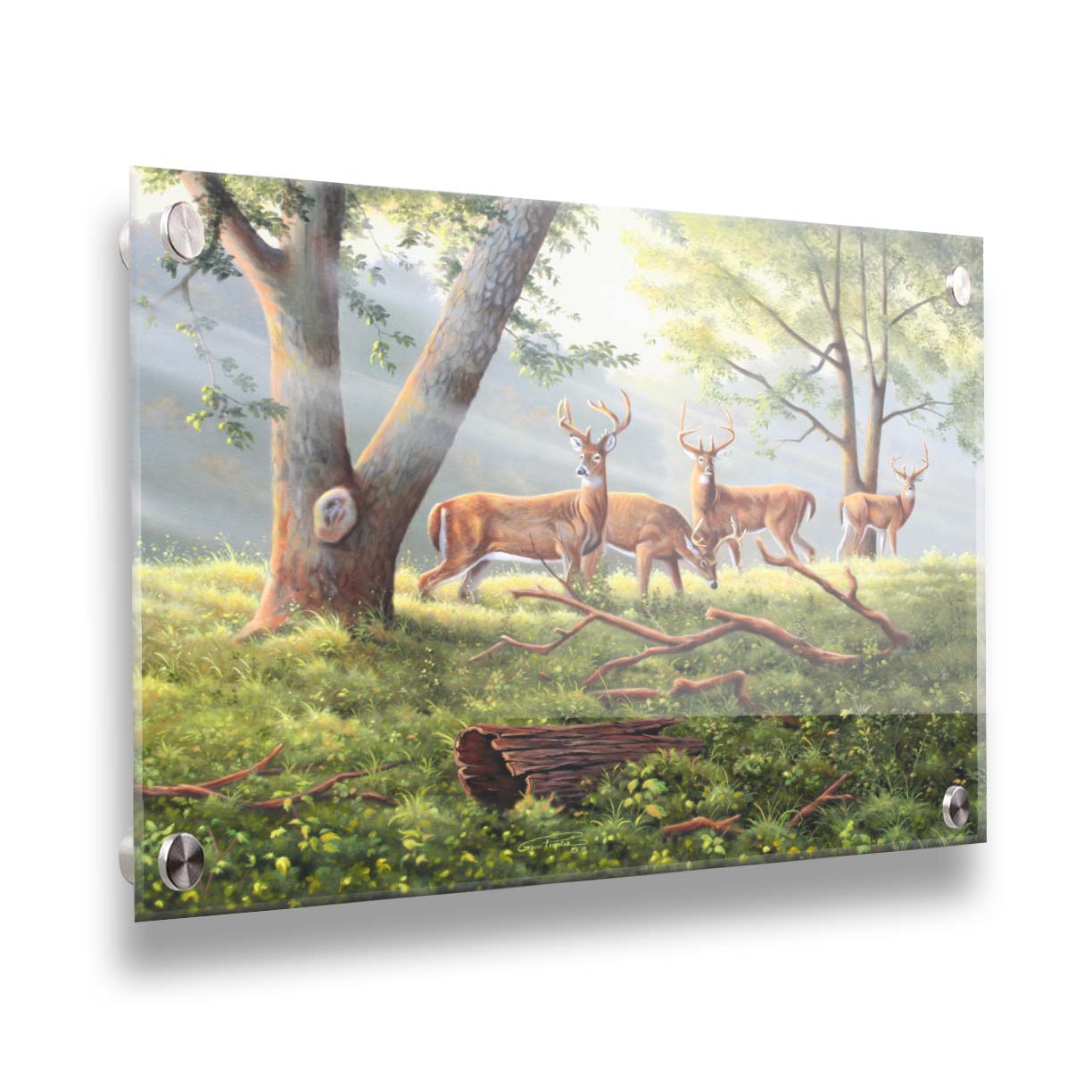 A painting of four deer in a grassy forest landscape, with beams of sunlight pouring down through the branches. Printed on acrylic.