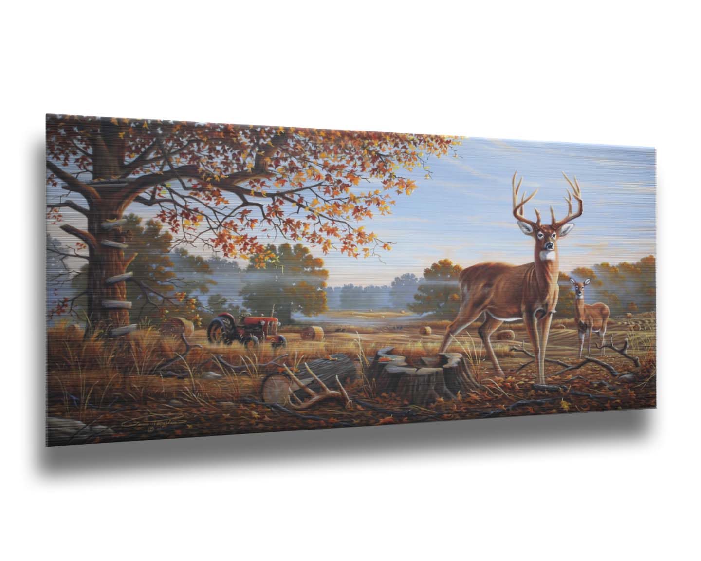 A painting of two deer standing in a foggy field, where the hay has been cut and baled. There is an empty hunting stand atop the tree behind them. Printed on metal.