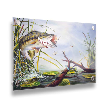 A painting of a largemouth bass leaping out of the water to catch a dragonfly. A fishing line and hook are stuck nearby, wrapped around a branch in the water. Printed on acrylic.