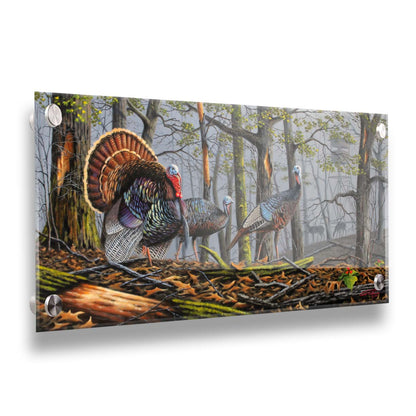 A painting of three turkeys walking through the woods on leaf-covered ground. In the distance, grazing deer and a hunting stand are visible through the fog. Printed on acrylic.