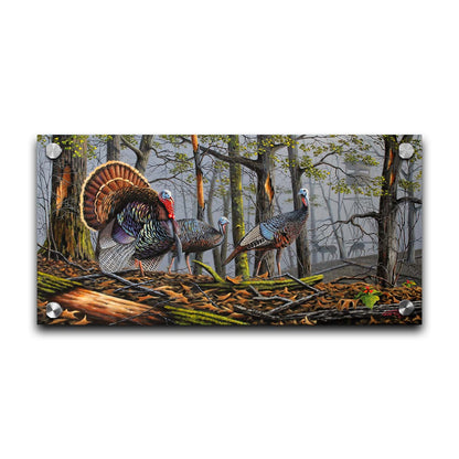 A painting of three turkeys walking through the woods on leaf-covered ground. In the distance, grazing deer and a hunting stand are visible through the fog. Printed on acrylic.