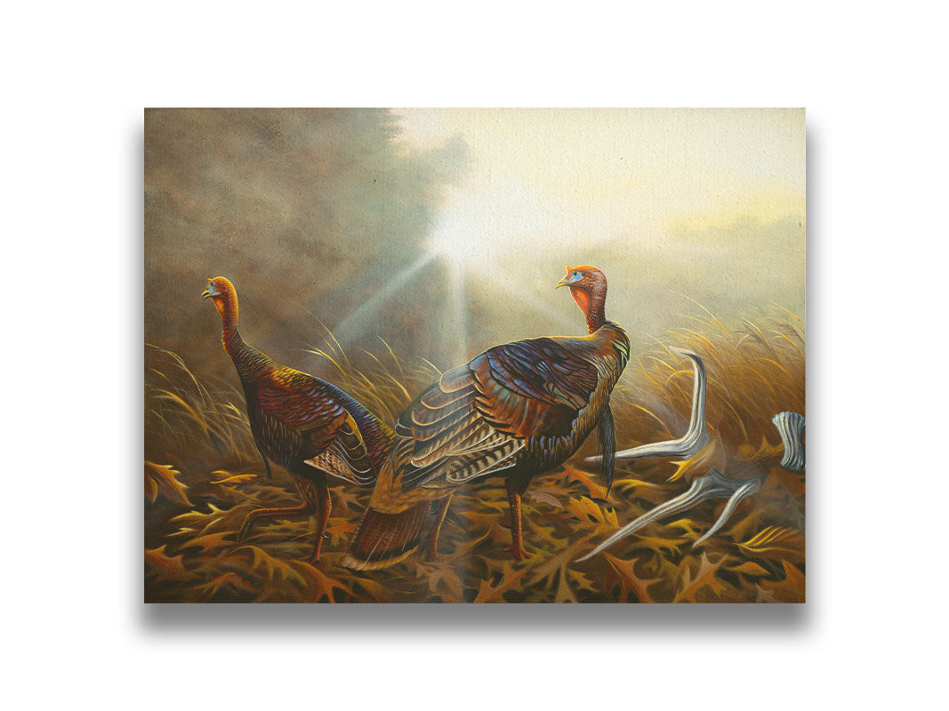 A portrait painting of two turkeys standing in a serene meadow, among fallen brown oak leaves and a shed deer antler. Printed on canvas.