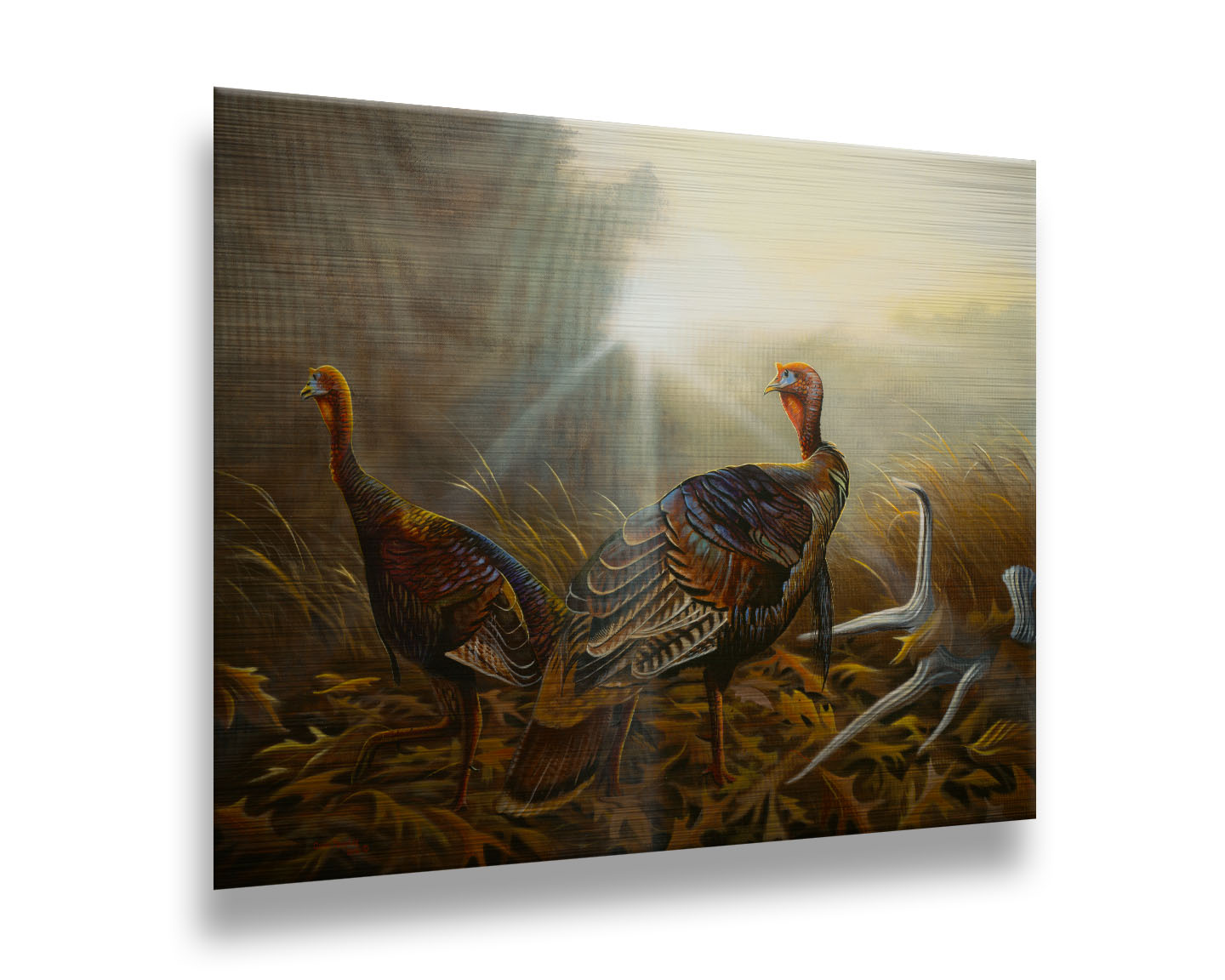 A portrait painting of two turkeys standing in a serene meadow, among fallen brown oak leaves and a shed deer antler. Printed on metal.