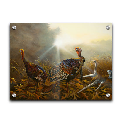 A portrait painting of two turkeys standing in a serene meadow, among fallen brown oak leaves and a shed deer antler. Printed on acrylic.