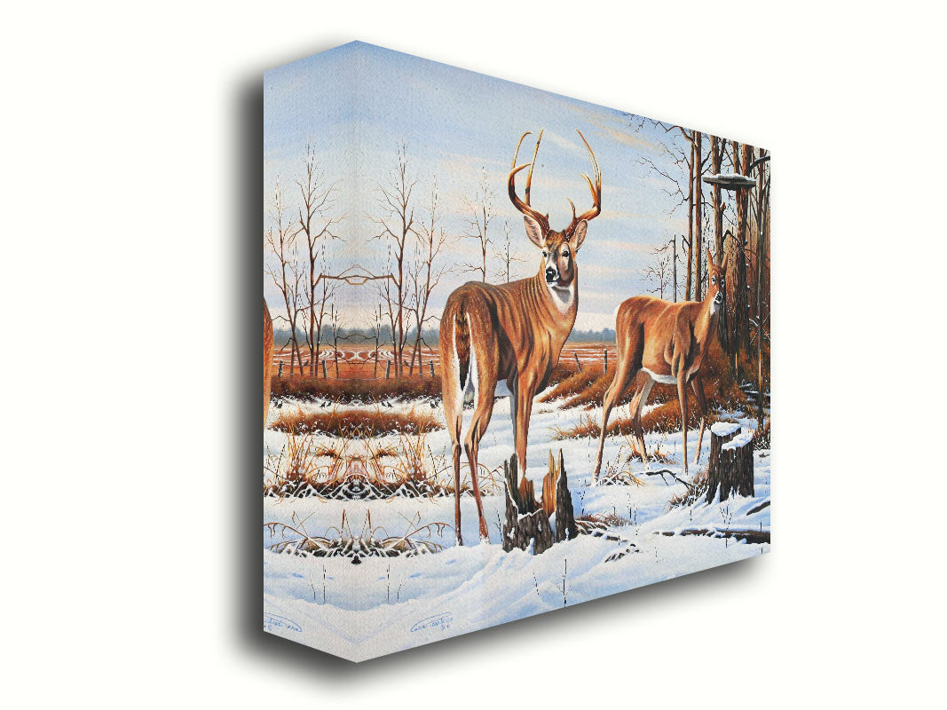 A painting of two deer, a doe and a buck, walking through a snowy field into the woods. Their fur and the surrounding foliage are a warm brown, which contrasts beautifully with the cool shadows on the snow. Printed on canvas.