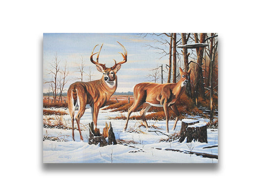 A painting of two deer, a doe and a buck, walking through a snowy field into the woods. Their fur and the surrounding foliage are a warm brown, which contrasts beautifully with the cool shadows on the snow. Printed on canvas.