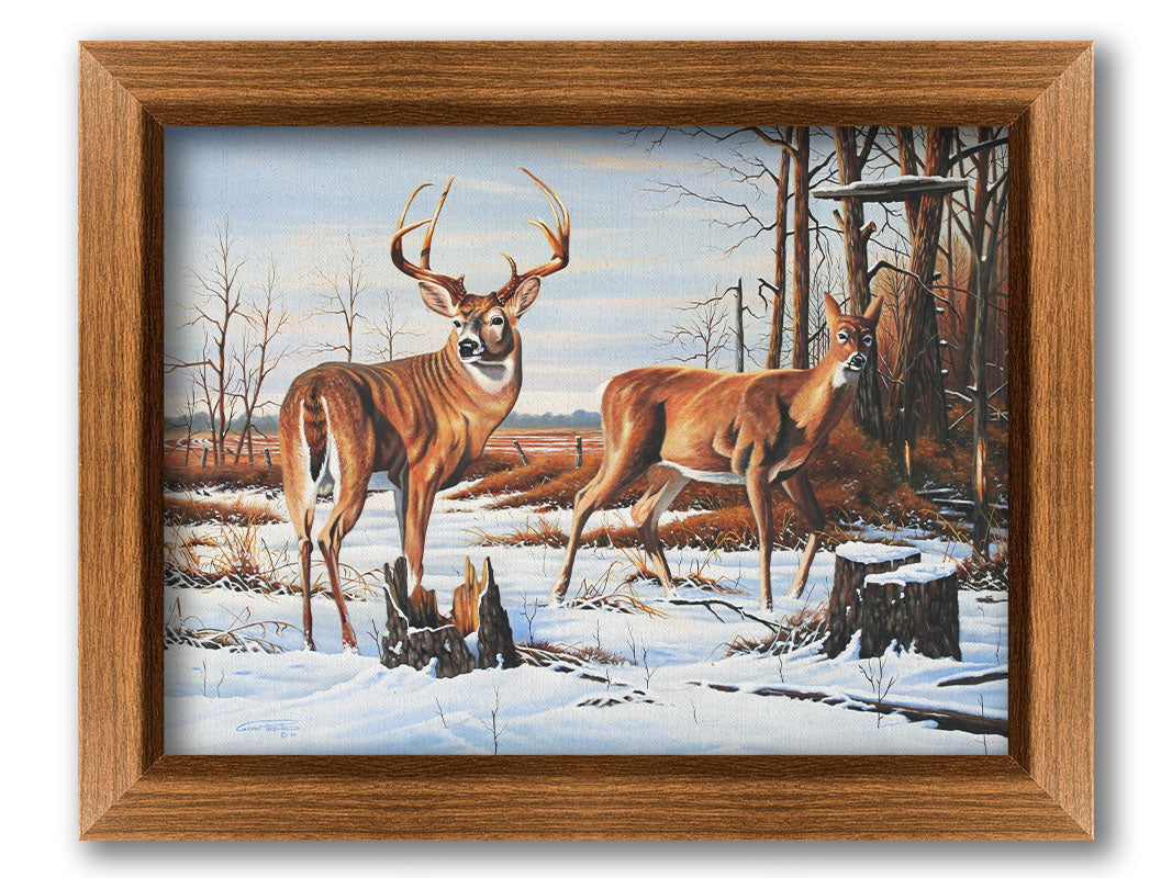 A painting of two deer, a doe and a buck, walking through a snowy field into the woods. Their fur and the surrounding foliage are a warm brown, which contrasts beautifully with the cool shadows on the snow. Printed on canvas and framed.