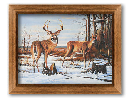 A painting of two deer, a doe and a buck, walking through a snowy field into the woods. Their fur and the surrounding foliage are a warm brown, which contrasts beautifully with the cool shadows on the snow. Printed on canvas and framed.