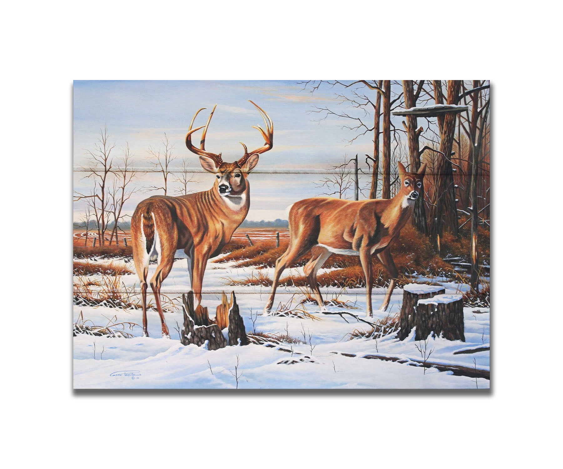 A painting of two deer, a doe and a buck, walking through a snowy field into the woods. Their fur and the surrounding foliage are a warm brown, which contrasts beautifully with the cool shadows on the snow. Printed on a box board.